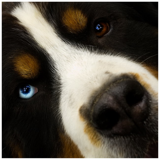 These eyes of mine