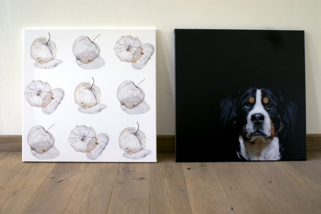On canvas