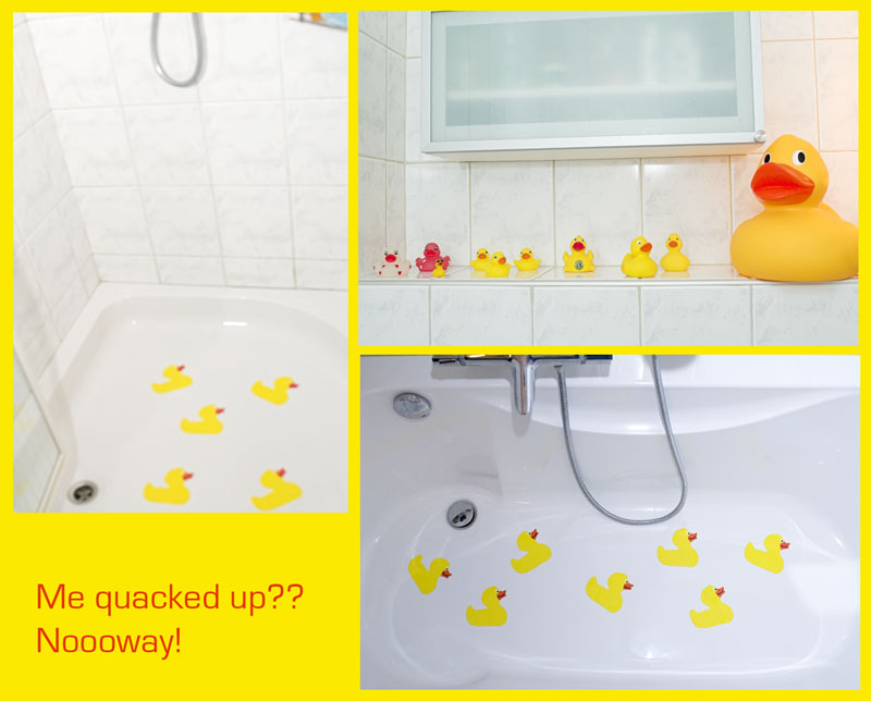 quacked up