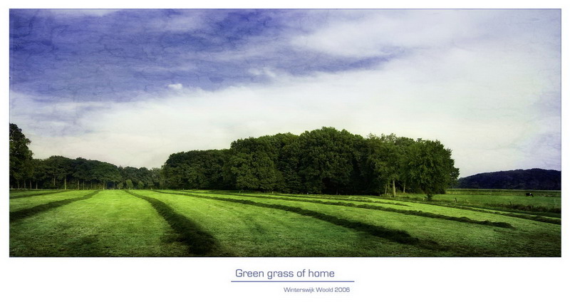 Green grass of home