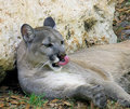 OOOO!!! That Tickles!! lol