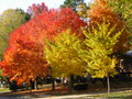 Nebraska Autumn.jpg