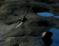 Crows over English Bay (1)