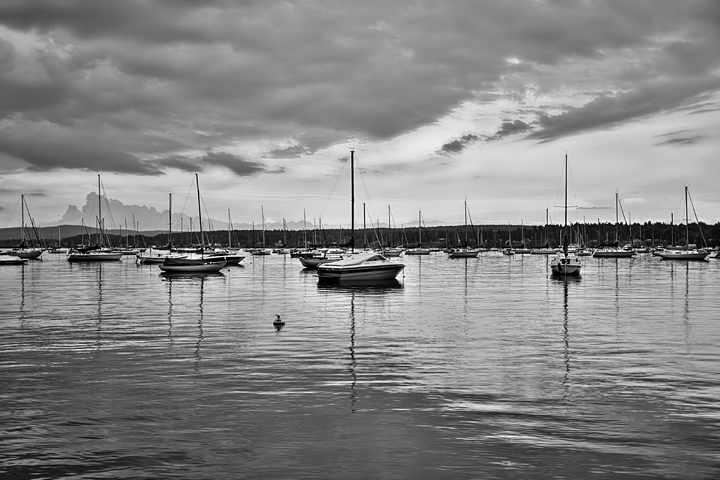 HDR 1261 NOUSM BWw.jpg
