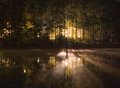 DP-nightreflections.jpg