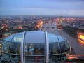 dp-londoneye.jpg