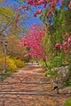 Garden Walk