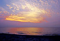 Palm Beach Sunrise