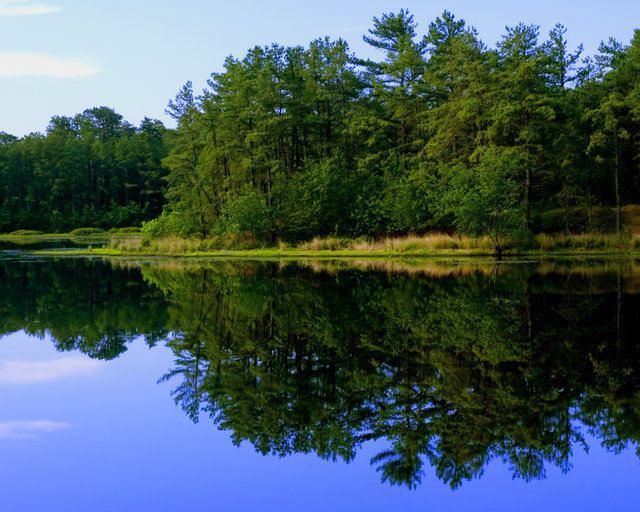 Whitesbog Reflection