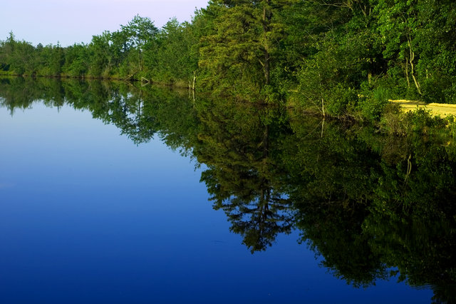 WhitesBog Reflection Too