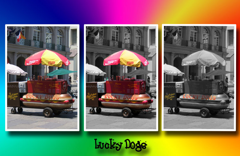 Lucky Dogs X 3.jpg
