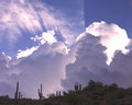 Clouds and Saguaros