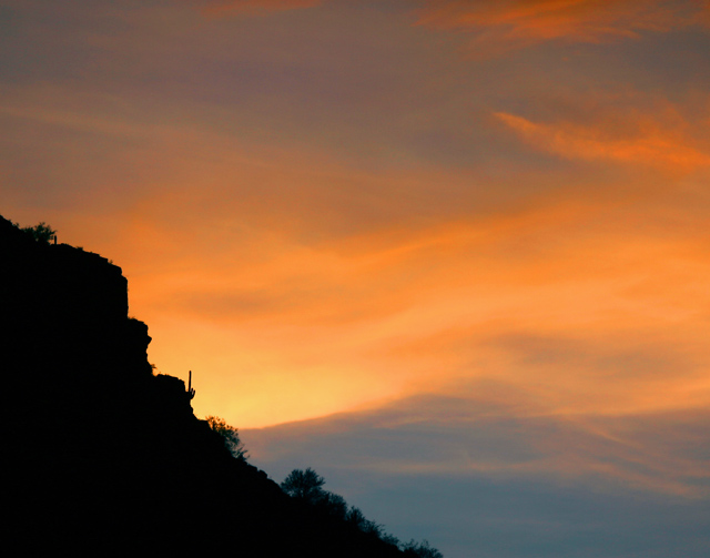 Sunset Saguaro II