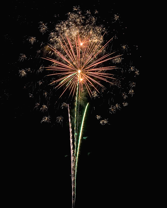 Fireworks Flower