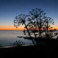 Night comes