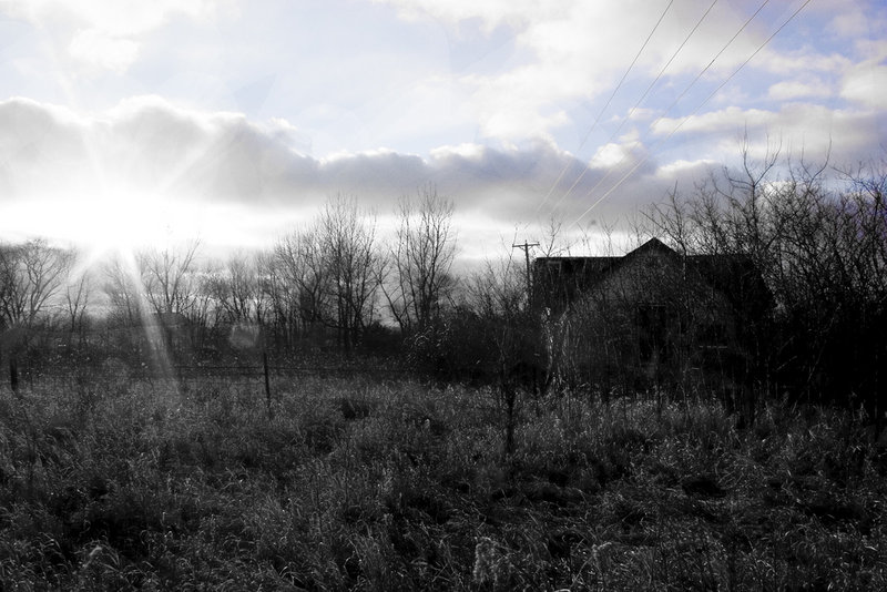 dead shed