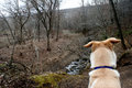 Devils Den Trail-dixie viewing the valley