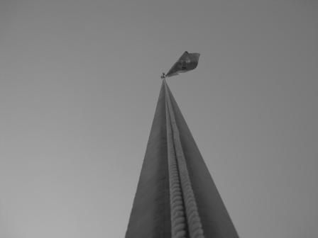 Engineer Flag