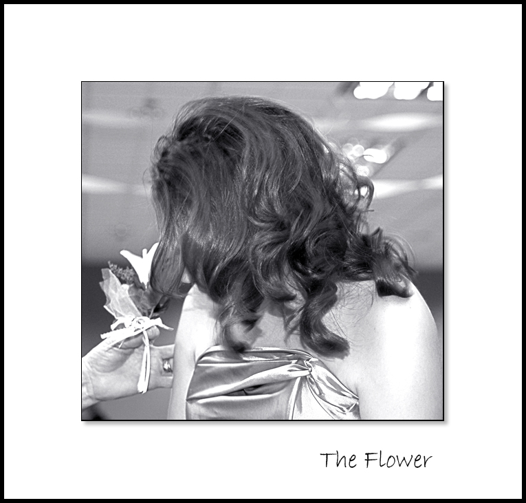 The Flower