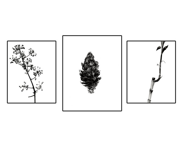 A Study in Contrast