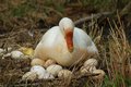 Motherhood