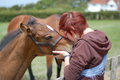 Foal