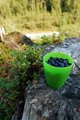 Blueberries for dessert