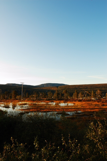 The colors of autumn