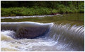 falls1.jpg