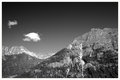 IMG_1613.jpg