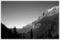 IMG_1626.jpg