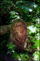 Happy Tree