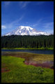 Postcard from Rainier