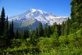 The Mountain is "out"