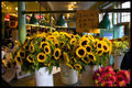 Pike Place 4