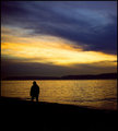 Lonely