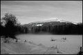 Snow-in-B&W