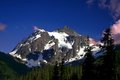 IMG_2481.jpg
