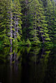 Ashland-shadows-1