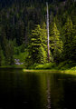 Ashland-shadows-3