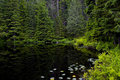Ashland-shadows-4