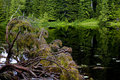 Ashland-shadows-5