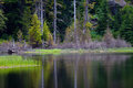Ashland-Shadows-7