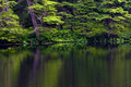 Ashland-Shadows-8