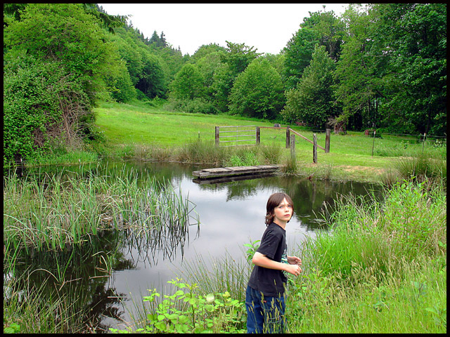 Tyler's Frog Pond