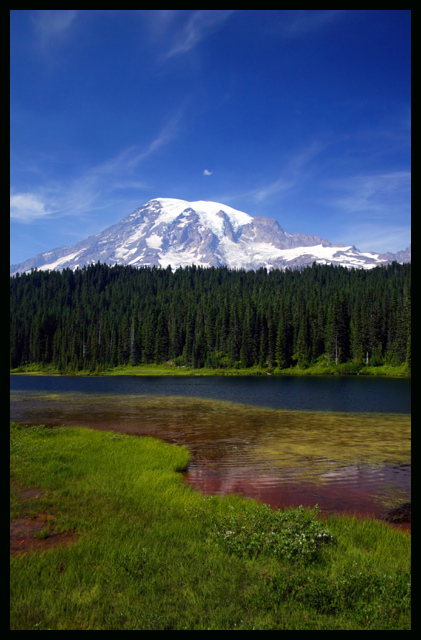 Postcard from Rainier