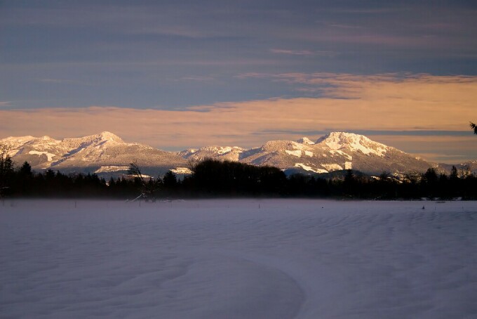 Snow Field