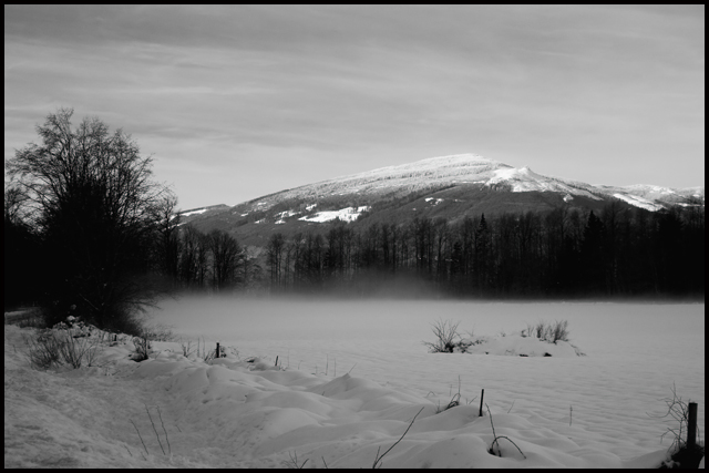 Snow-in-B&W