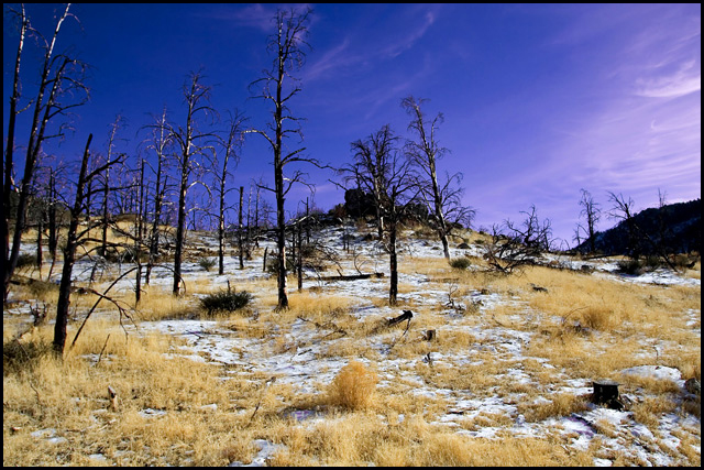 Cold Burn