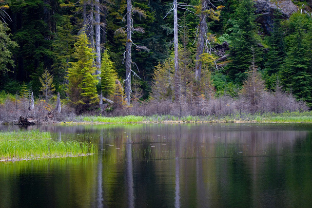 Ashland-Shadows-7